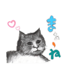手描きイラスト 日常デカ文字 ネコ お花 猿（個別スタンプ：5）