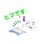 手描きイラスト 日常デカ文字 ネコ お花 猿（個別スタンプ：13）