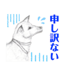 手描きイラスト 日常デカ文字 ネコ お花 猿（個別スタンプ：24）
