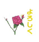 手描きイラスト 日常デカ文字 ネコ お花 猿（個別スタンプ：30）