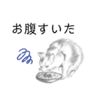 手描きイラスト 日常デカ文字 ネコ お花 猿（個別スタンプ：34）