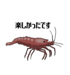 Shrimp Life*（個別スタンプ：27）