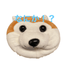 我が家のやつら（個別スタンプ：1）