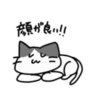 をたねこ（個別スタンプ：3）