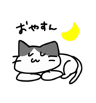 をたねこ（個別スタンプ：19）