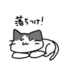 をたねこ（個別スタンプ：27）