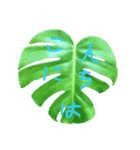 植物DEあいさつ（個別スタンプ：4）