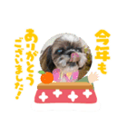 シーペキ新年ご挨拶（個別スタンプ：1）