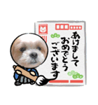 シーペキ新年ご挨拶（個別スタンプ：2）