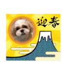 シーペキ新年ご挨拶（個別スタンプ：3）