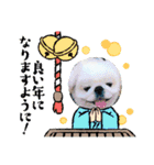 シーペキ新年ご挨拶（個別スタンプ：8）