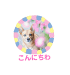 雑種のむーぶ（個別スタンプ：5）