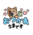 雑種のむーぶ（個別スタンプ：8）