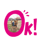 雑種のむーぶ（個別スタンプ：9）