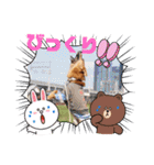 雑種のむーぶ（個別スタンプ：12）