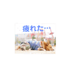 雑種のむーぶ（個別スタンプ：13）