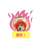 雑種のむーぶ（個別スタンプ：19）