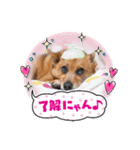雑種のむーぶ（個別スタンプ：22）