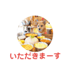 雑種のむーぶ（個別スタンプ：24）