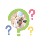 雑種のむーぶ（個別スタンプ：39）