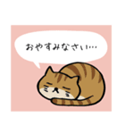 ふせん猫 〜ビジネス編〜（個別スタンプ：23）