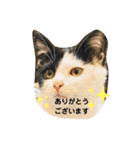 R＆G保護猫スタンプシンプルバージョン（個別スタンプ：2）