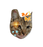 R＆G保護猫スタンプシンプルバージョン（個別スタンプ：7）