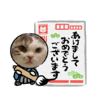 ねこにゃん22（個別スタンプ：2）