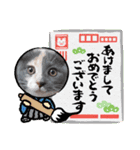 ねこにゃん22（個別スタンプ：3）