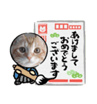 ねこにゃん22（個別スタンプ：4）