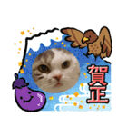 ねこにゃん22（個別スタンプ：5）