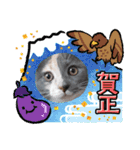 ねこにゃん22（個別スタンプ：6）