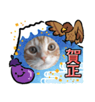 ねこにゃん22（個別スタンプ：7）