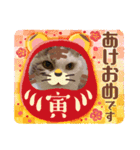 ねこにゃん22（個別スタンプ：8）