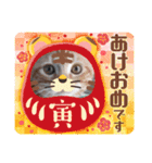 ねこにゃん22（個別スタンプ：10）