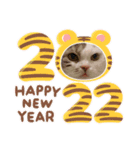 ねこにゃん22（個別スタンプ：11）