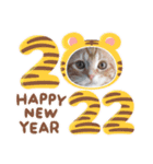 ねこにゃん22（個別スタンプ：13）