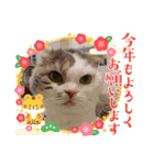 ねこにゃん22（個別スタンプ：14）