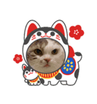 ねこにゃん22（個別スタンプ：17）