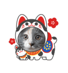 ねこにゃん22（個別スタンプ：18）