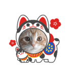 ねこにゃん22（個別スタンプ：19）