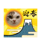 ねこにゃん22（個別スタンプ：29）