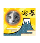 ねこにゃん22（個別スタンプ：30）