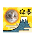 ねこにゃん22（個別スタンプ：31）