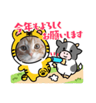 ねこにゃん22（個別スタンプ：34）