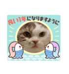 ねこにゃん22（個別スタンプ：35）