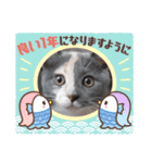 ねこにゃん22（個別スタンプ：36）