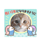 ねこにゃん22（個別スタンプ：37）