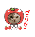 ねこにゃん22（個別スタンプ：38）