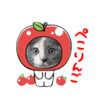ねこにゃん22（個別スタンプ：39）